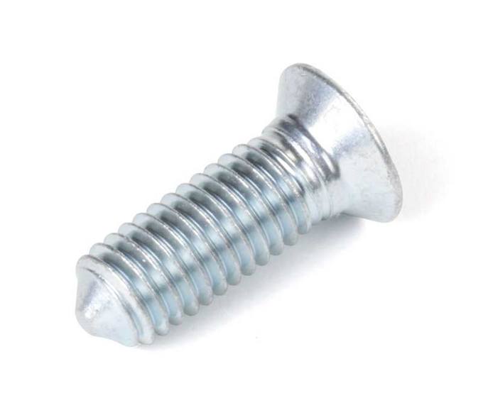 Mercedes Striker Plate Screw 1169900031